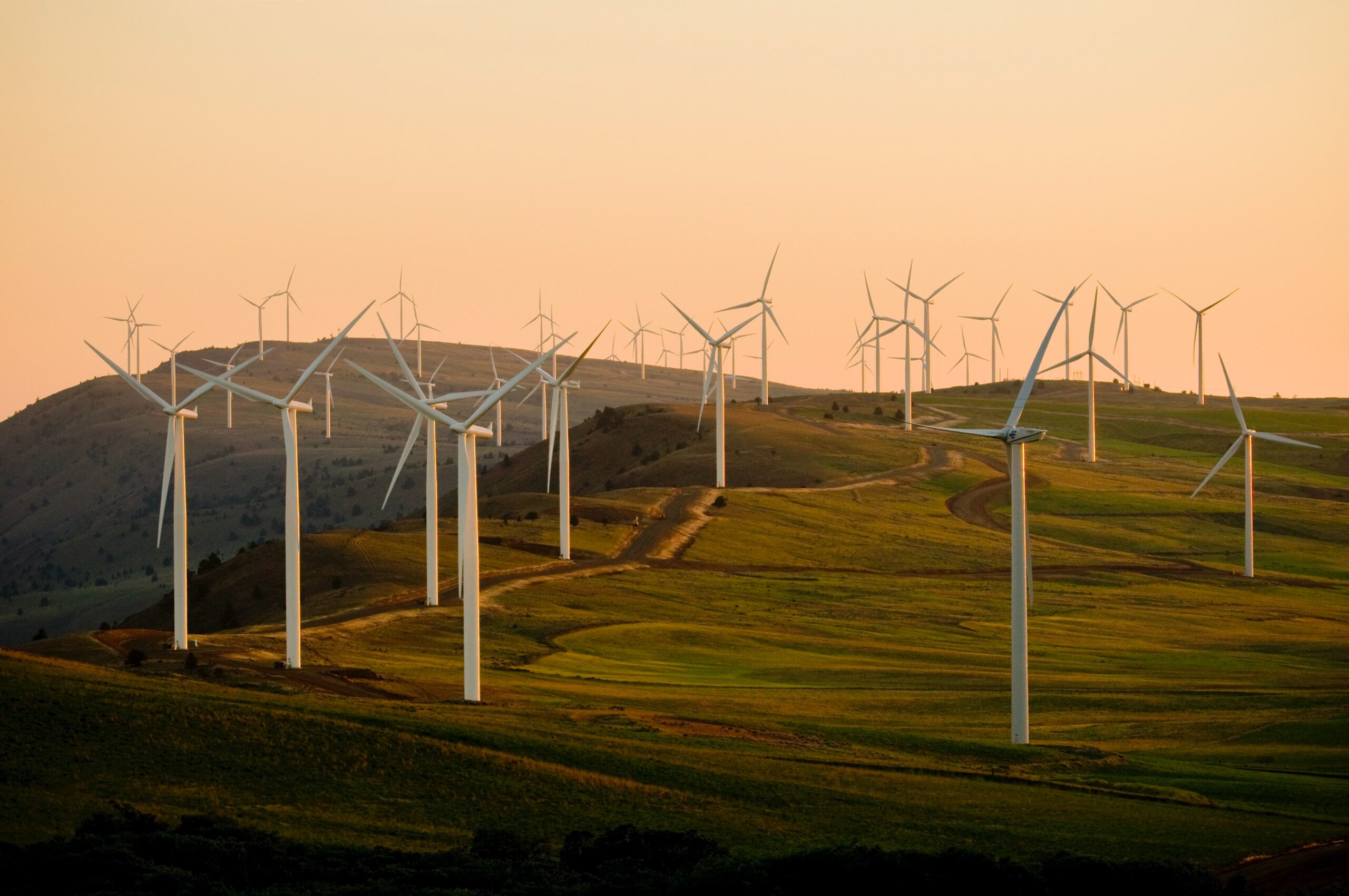 Windmills on hillside with sunset