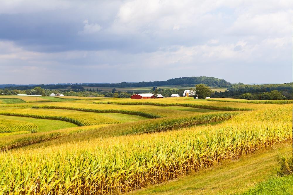 Agricultural Land Title Search