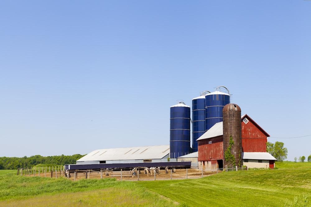 Farm & Ranch Title Search