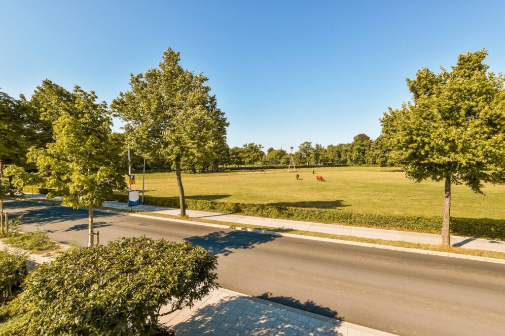 Vacant Land Title Search