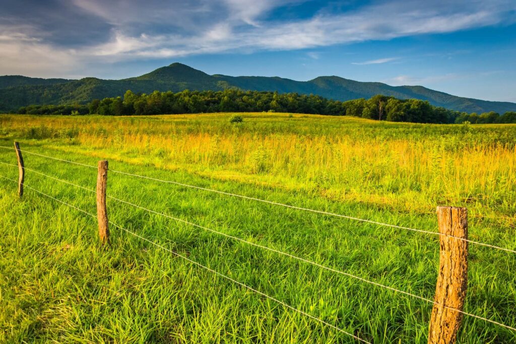 Vacant Land Title Search